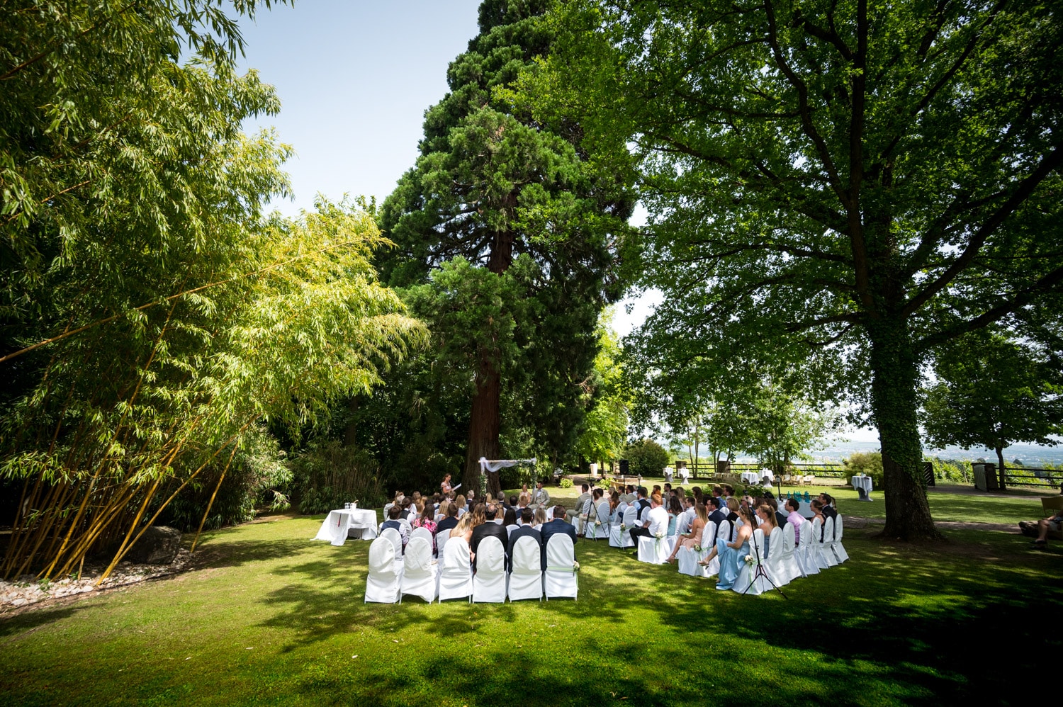 Hochzeisfotograf Burg Schwarzenstein - Freie Trauung im Park der Burg Schwarzenstein