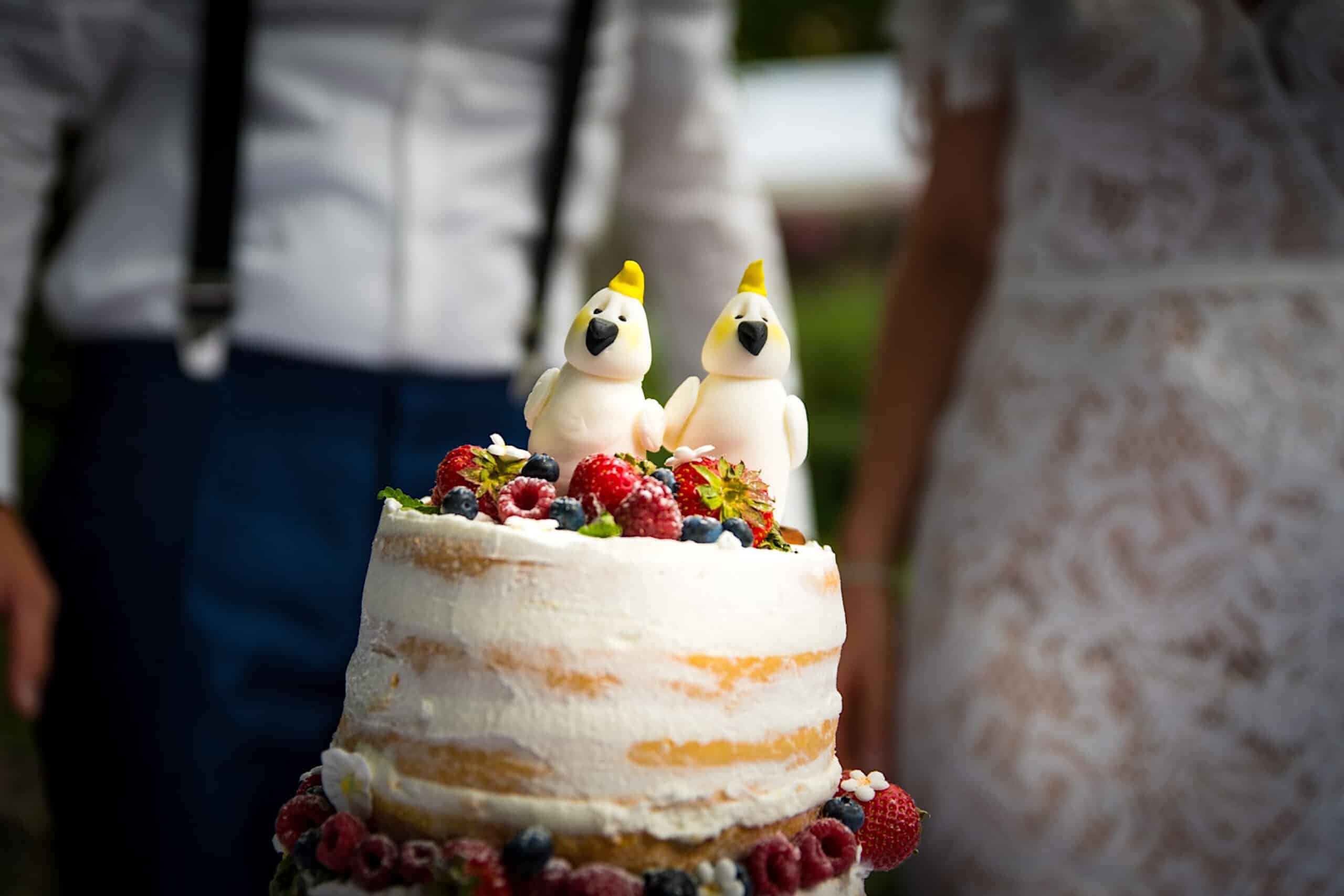 Hochzeitstorte mit Papagein Deko