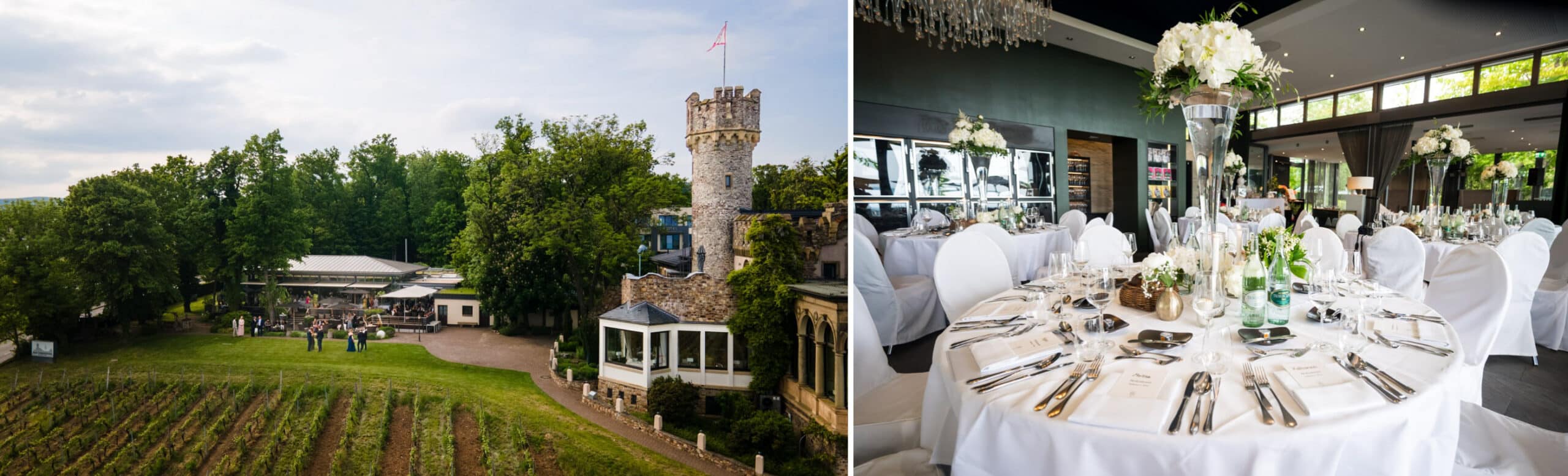 Blick auf die Burg Schwarzenstein in Geisenheim